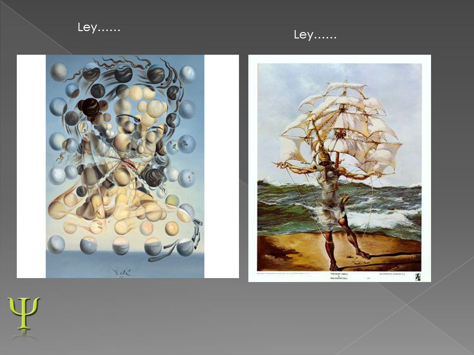 Ley…… Ley……