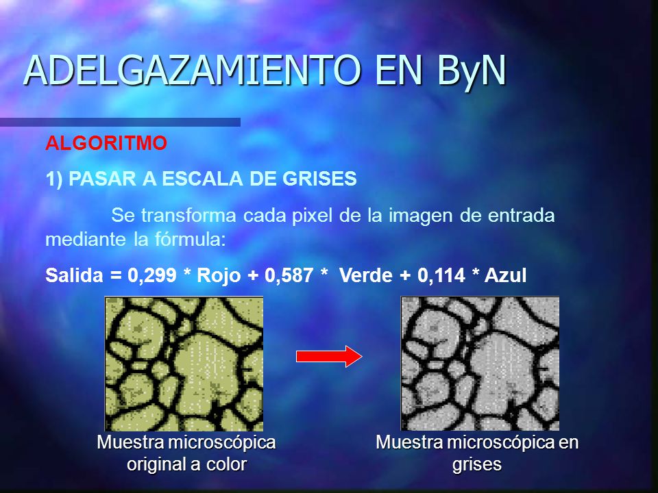 ADELGAZAMIENTO EN ByN ALGORITMO 1) PASAR A ESCALA DE GRISES
