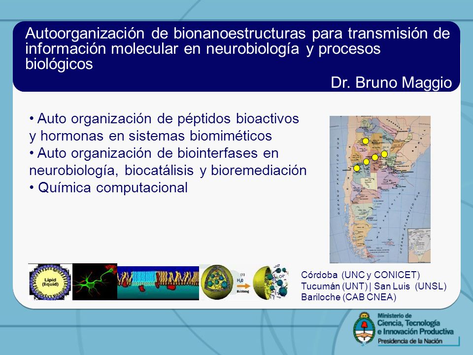 Autoorganización de bionanoestructuras para transmisión de información molecular en neurobiología y procesos biológicos