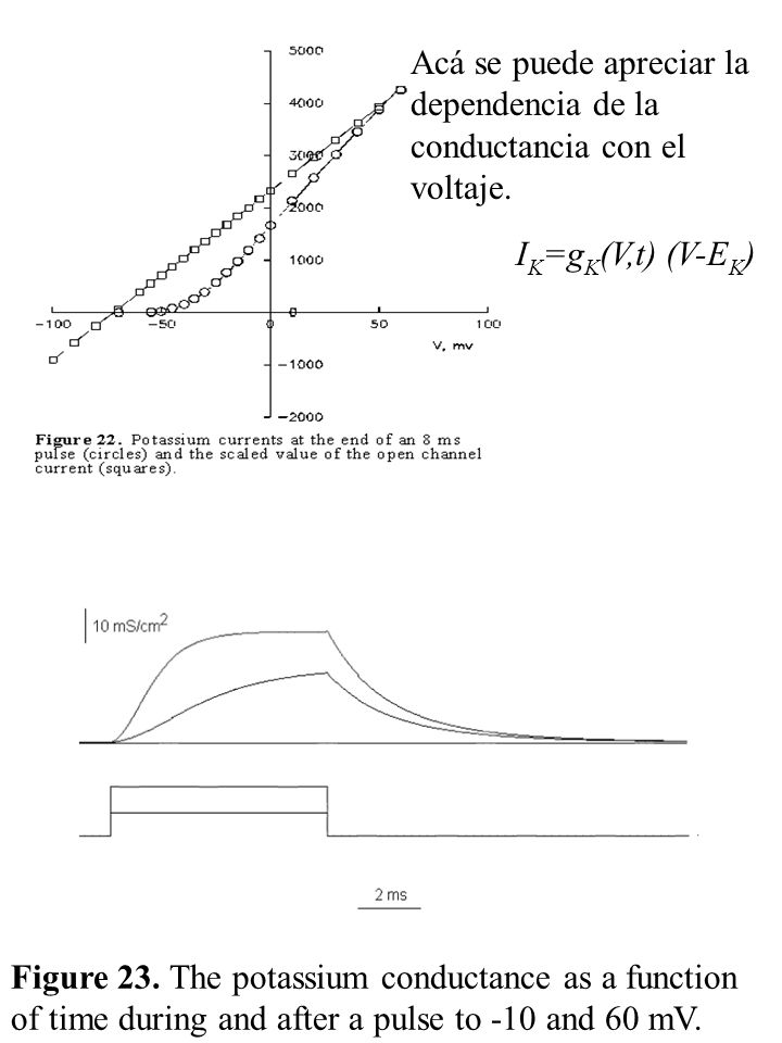 Acá se puede apreciar la dependencia de la conductancia con el voltaje.