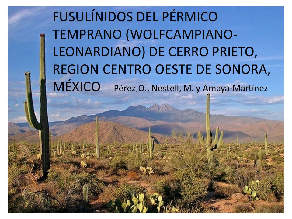 FUSULÍNIDOS DEL PÉRMICO TEMPRANO (WOLFCAMPIANO-LEONARDIANO) DE CERRO PRIETO, REGION CENTRO OESTE DE SONORA, MÉXICO Pérez,O., Nestell, M. y Amaya-Martínez