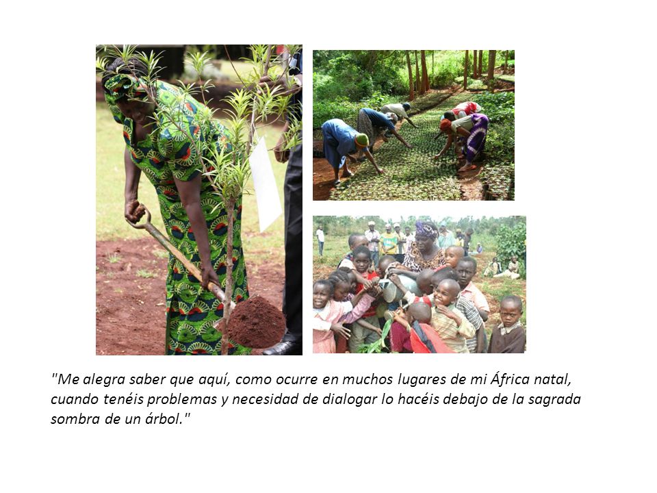 Me alegra saber que aquí, como ocurre en muchos lugares de mi África natal, cuando tenéis problemas y necesidad de dialogar lo hacéis debajo de la sagrada sombra de un árbol.