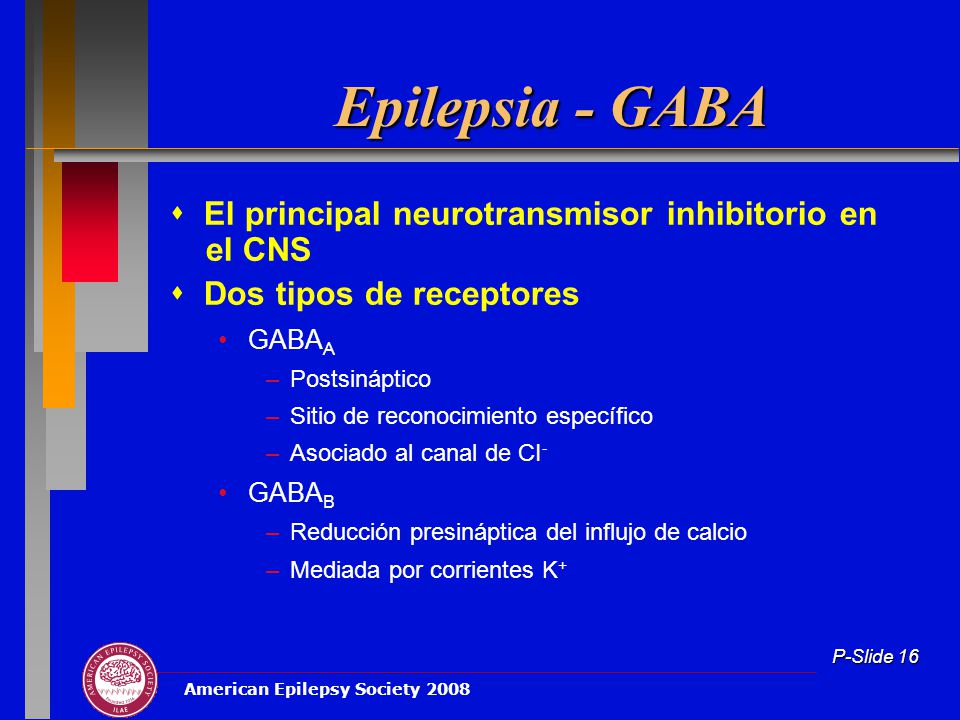Epilepsia - GABA  El principal neurotransmisor inhibitorio en el CNS