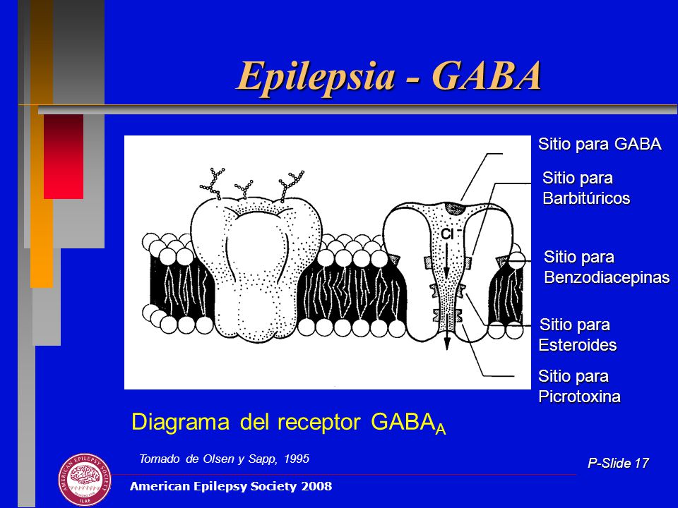 Epilepsia - GABA Diagrama del receptor GABAA Sitio para GABA