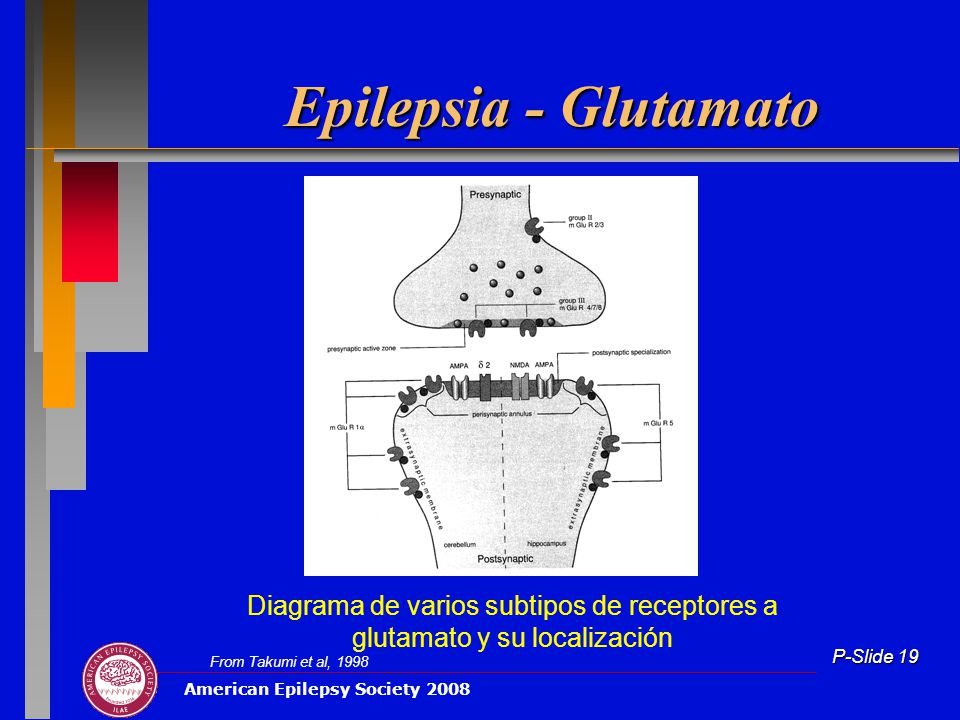 Epilepsia - Glutamato Diagrama de varios subtipos de receptores a glutamato y su localización.