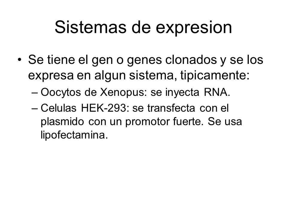 Sistemas de expresion Se tiene el gen o genes clonados y se los expresa en algun sistema, tipicamente: