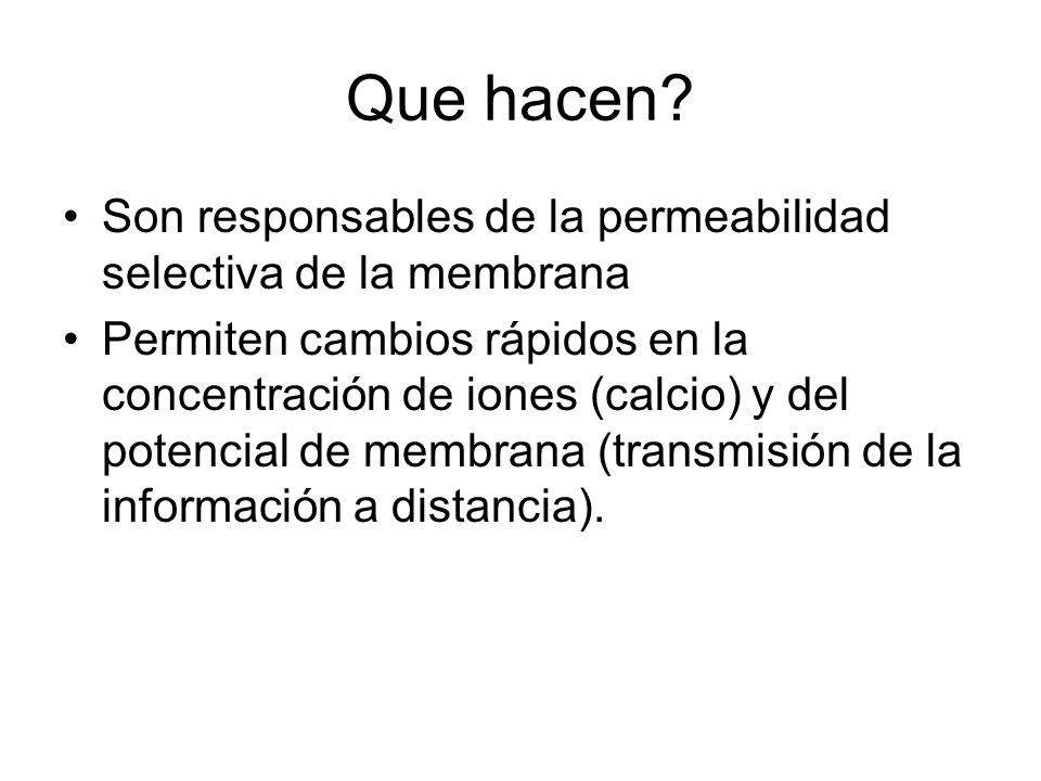 Que hacen Son responsables de la permeabilidad selectiva de la membrana.