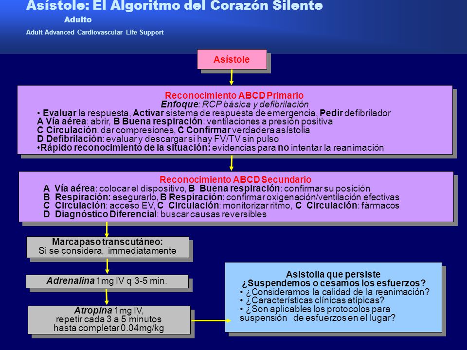 Asístole: El Algoritmo del Corazón Silente Adulto