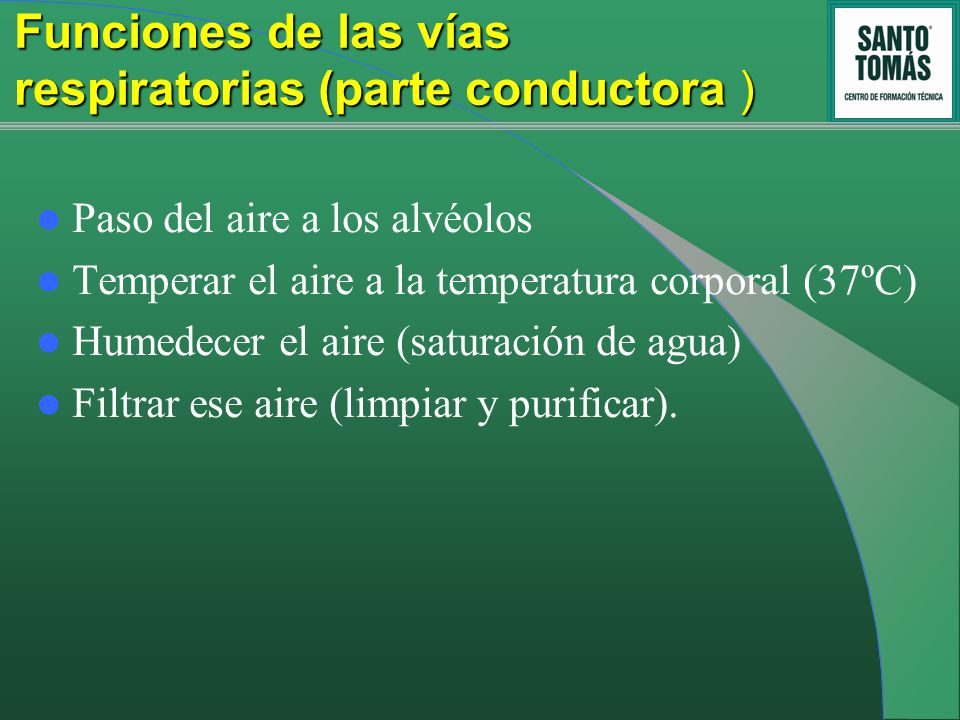 Funciones de las vías respiratorias (parte conductora )