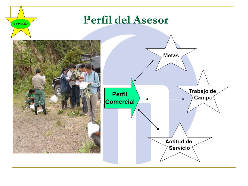 Perfil del Asesor Perfil Comercial Metas Trabajo de Campo Actitud de