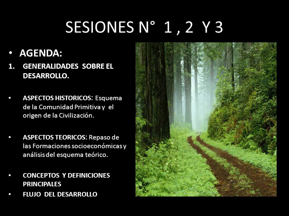 SESIONES N° 1 , 2 Y 3 AGENDA: GENERALIDADES SOBRE EL DESARROLLO.