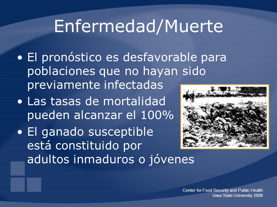 Enfermedad/Muerte El pronóstico es desfavorable para poblaciones que no hayan sido previamente infectadas.