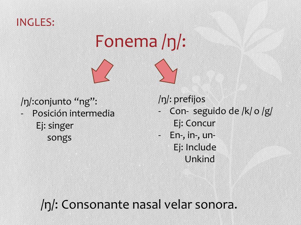 Fonema /ŋ/: /ŋ/: Consonante nasal velar sonora. INGLES: /ŋ/: prefijos