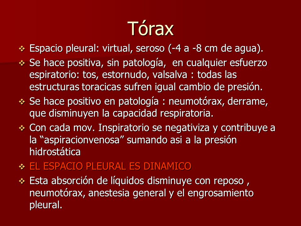 Tórax Espacio pleural: virtual, seroso (-4 a -8 cm de agua).