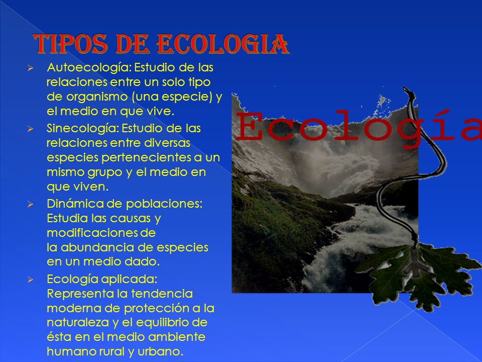 TIPOS DE ECOLOGIA Autoecología: Estudio de las relaciones entre un solo tipo de organismo (una especie) y el medio en que vive.