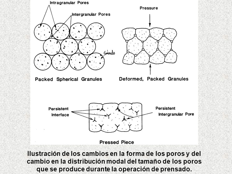 Ilustración de los cambios en la forma de los poros y del cambio en la distribución modal del tamaño de los poros que se produce durante la operación de prensado.