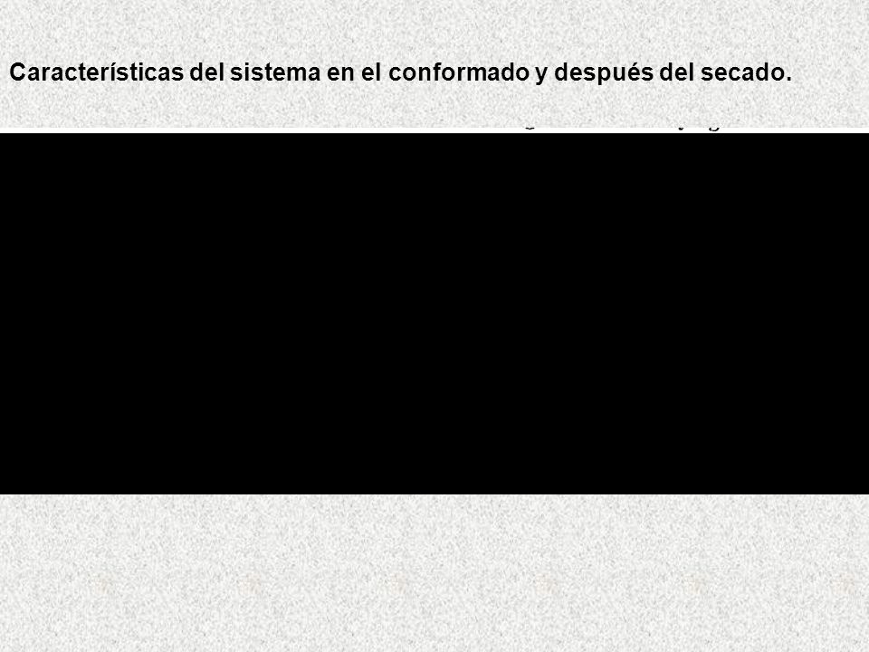 Características del sistema en el conformado y después del secado.