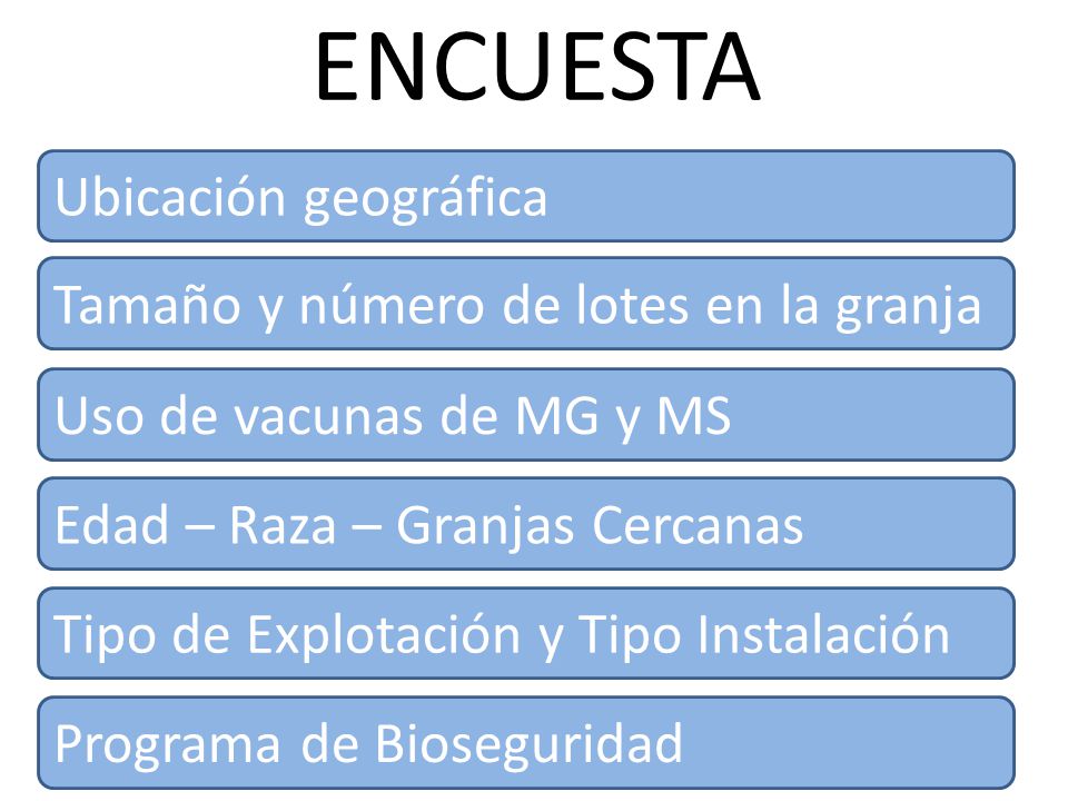 ENCUESTA Ubicación geográfica Tamaño y número de lotes en la granja