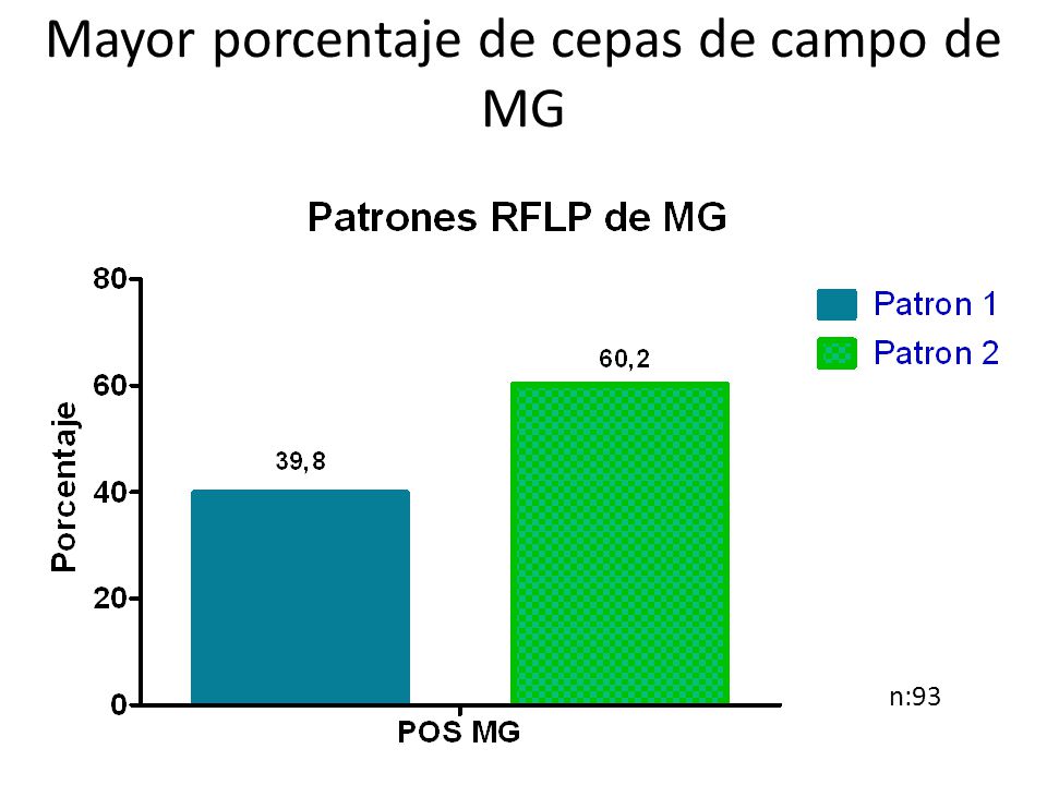 Mayor porcentaje de cepas de campo de MG