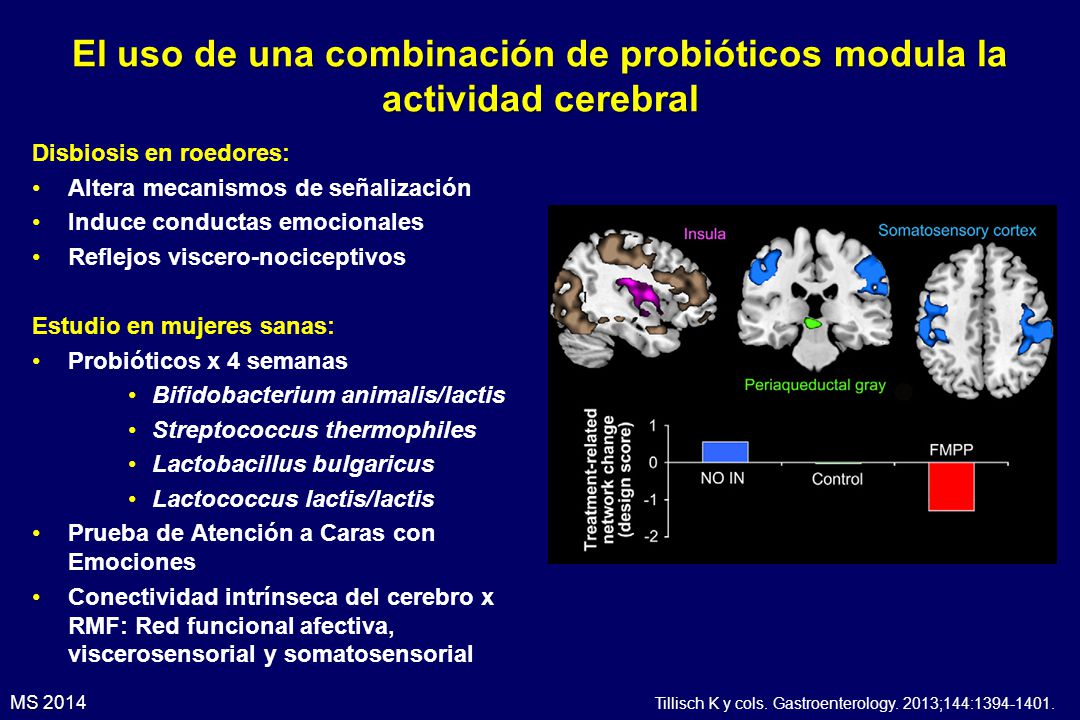 El uso de una combinación de probióticos modula la actividad cerebral