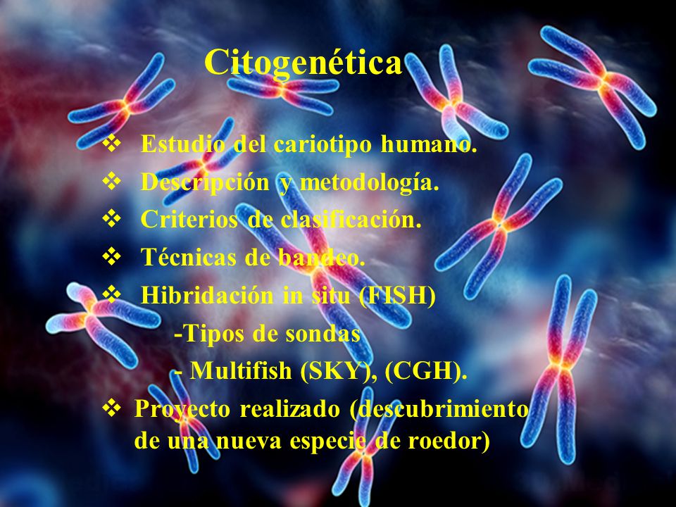 Citogenética Estudio del cariotipo humano. Descripción y metodología.