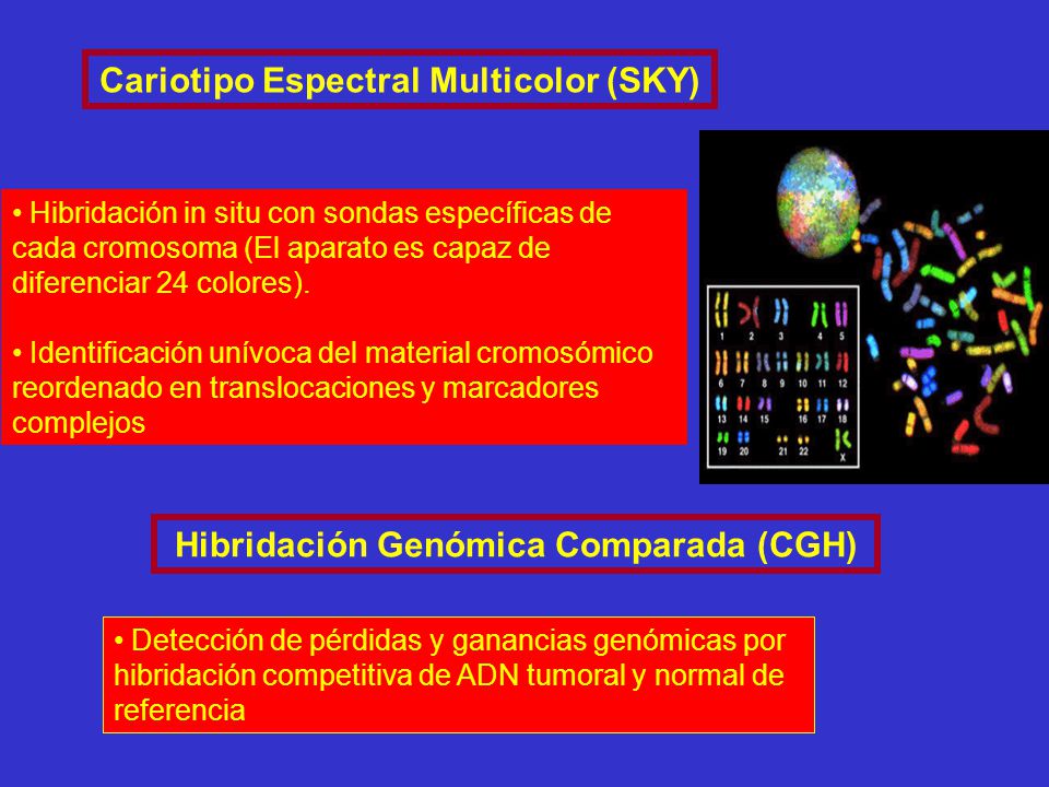 Cariotipo Espectral Multicolor (SKY)