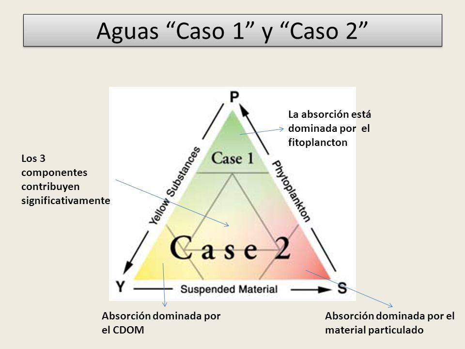 Aguas Caso 1 y Caso 2 La absorción está dominada por el fitoplancton. Los 3 componentes contribuyen significativamente.