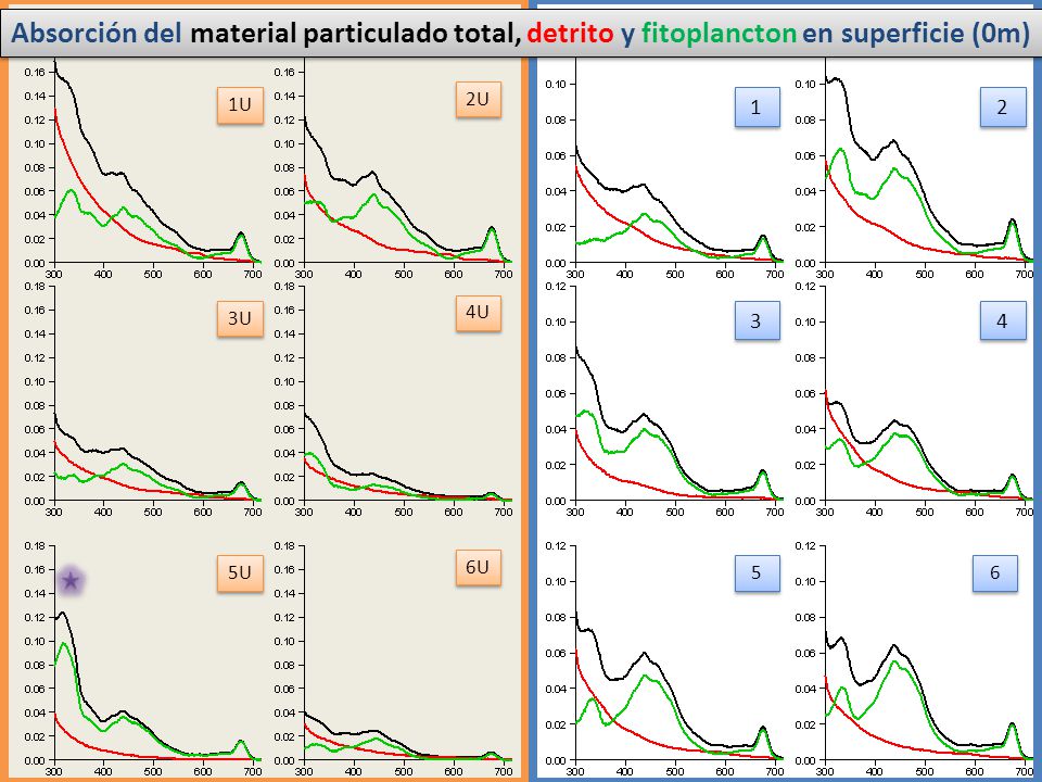 Absorción del material particulado total, detrito y fitoplancton en superficie (0m)