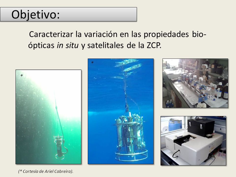 Objetivo: Caracterizar la variación en las propiedades bio-ópticas in situ y satelitales de la ZCP.
