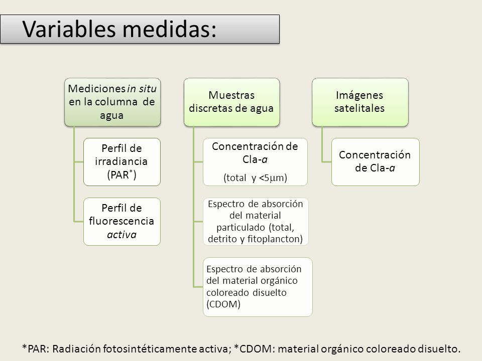 Variables medidas: Mediciones in situ en la columna de agua