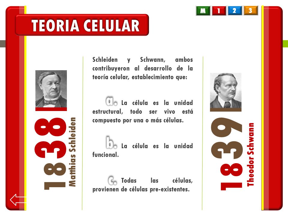 TEORIA CELULAR a. b. c. Matthias Schleiden Theodor Schwann M