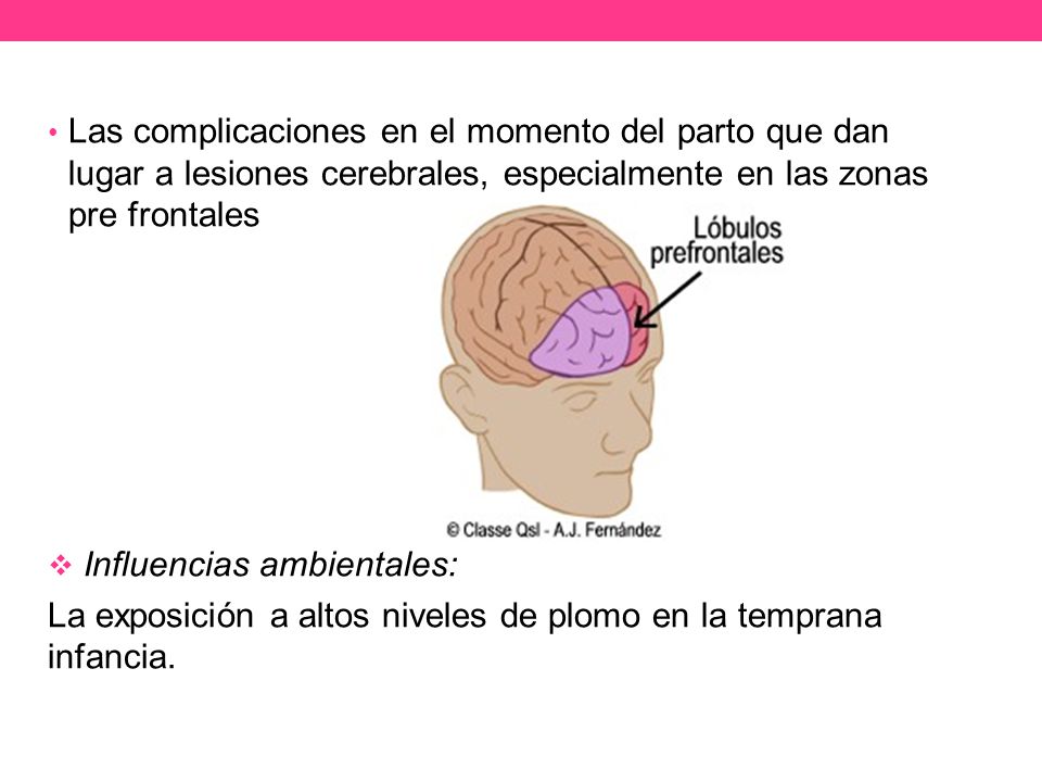 Las complicaciones en el momento del parto que dan lugar a lesiones cerebrales, especialmente en las zonas pre frontales