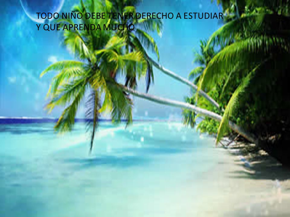 DERECHO AL ESTUDIO TODO NIÑO DEBE TENER DERECHO A ESTUDIAR
