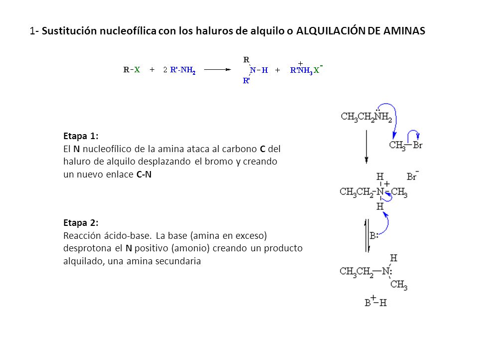 1- Sustitución nucleofílica con los haluros de alquilo o ALQUILACIÓN DE AMINAS