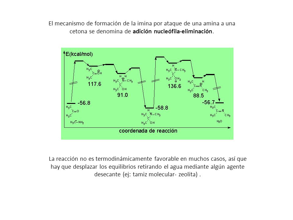 El mecanismo de formación de la imina por ataque de una amina a una cetona se denomina de adición nucleófila-eliminación.