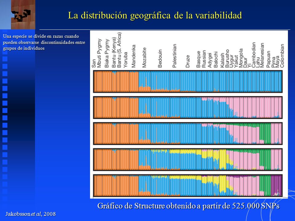 Gráfico de Structure obtenido a partir de SNPs