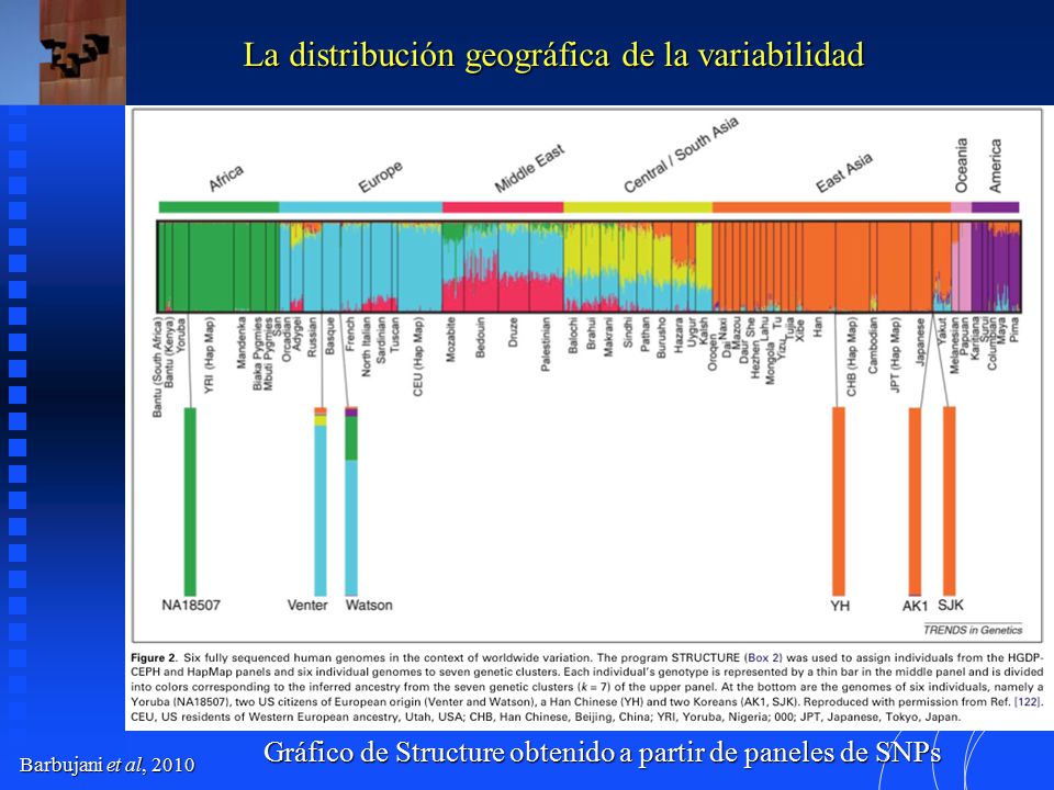 Gráfico de Structure obtenido a partir de paneles de SNPs