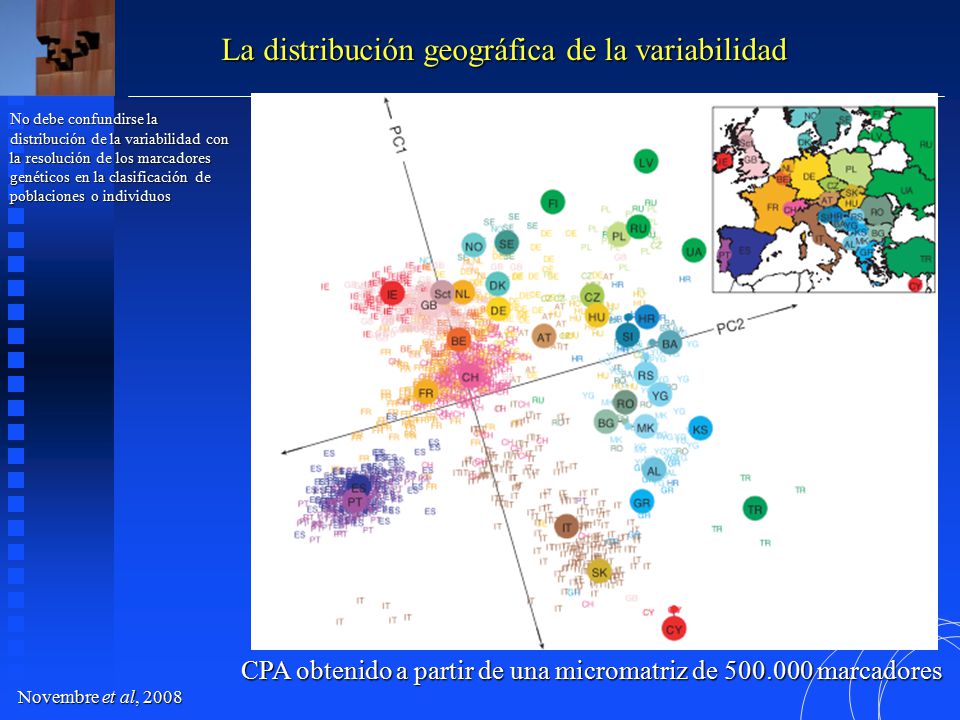 CPA obtenido a partir de una micromatriz de marcadores