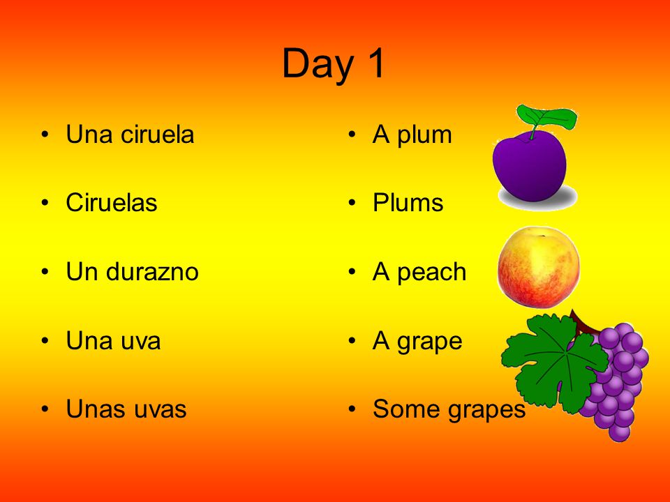 Day 1 Una ciruela Ciruelas Un durazno Una uva Unas uvas A plum Plums
