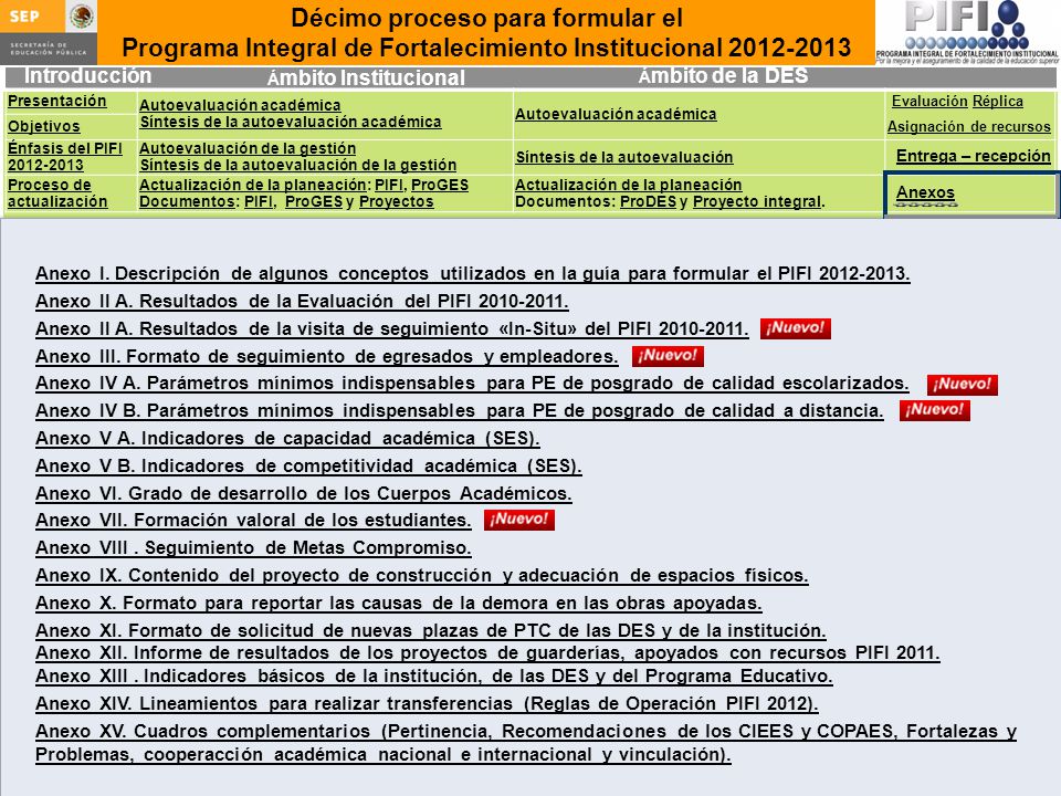 Anexo I. Descripción de algunos conceptos utilizados en la guía para formular el PIFI