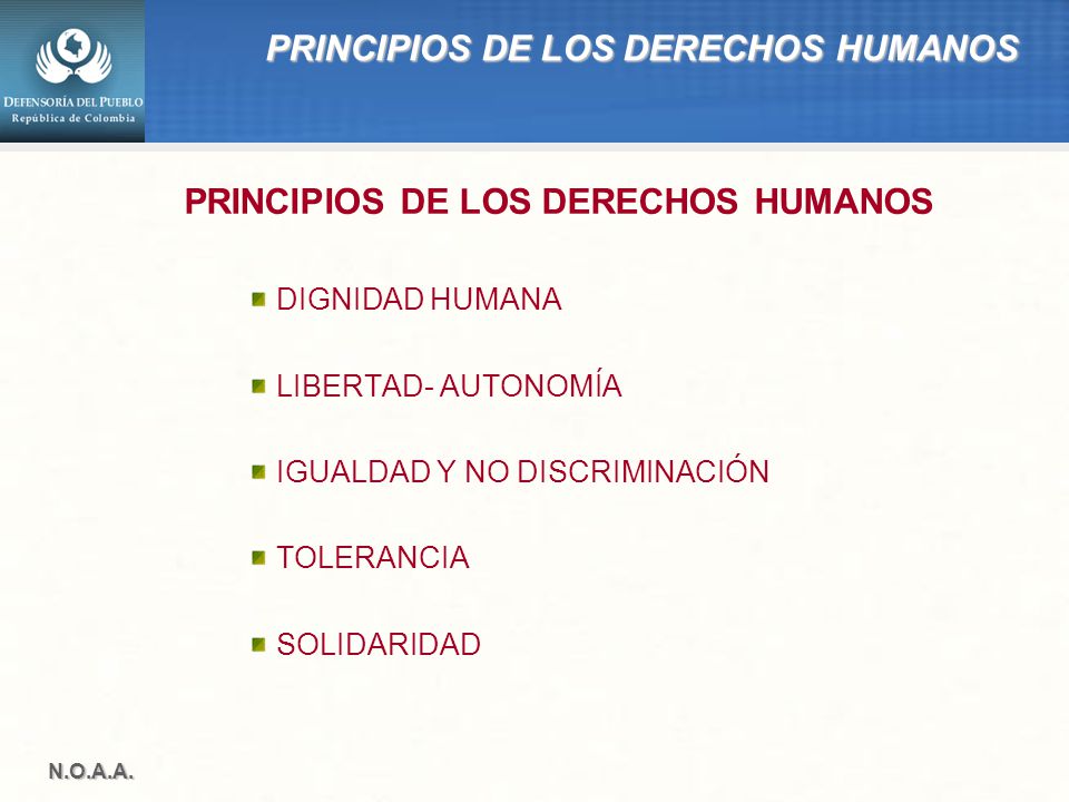 PRINCIPIOS DE LOS DERECHOS HUMANOS PRINCIPIOS DE LOS DERECHOS HUMANOS