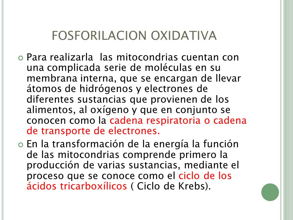 FOSFORILACION OXIDATIVA