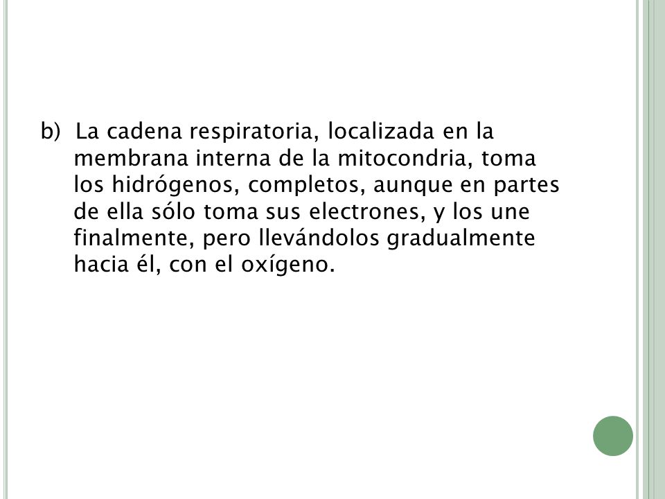 b) La cadena respiratoria, localizada en la membrana interna de la mitocondria, toma los hidrógenos, completos, aunque en partes de ella sólo toma sus electrones, y los une finalmente, pero llevándolos gradualmente hacia él, con el oxígeno.