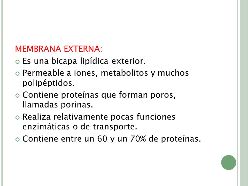 MEMBRANA EXTERNA: Es una bicapa lipídica exterior. Permeable a iones, metabolitos y muchos polipéptidos.