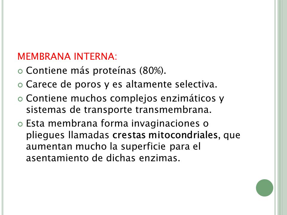 MEMBRANA INTERNA: Contiene más proteínas (80%). Carece de poros y es altamente selectiva.