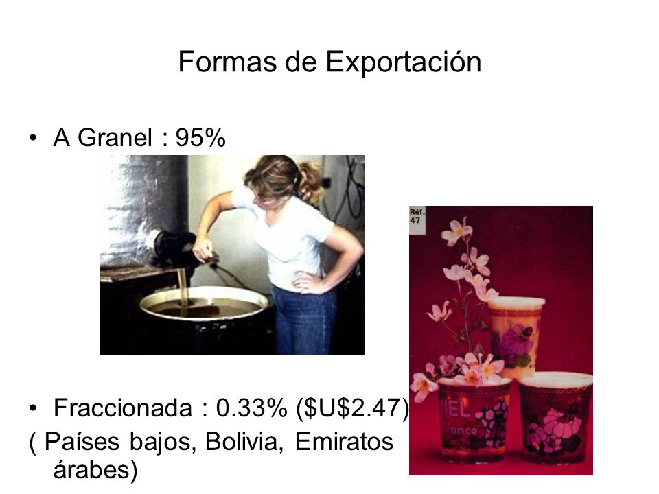 Formas de Exportación A Granel : 95% Fraccionada : 0.33% ($U$2.47)