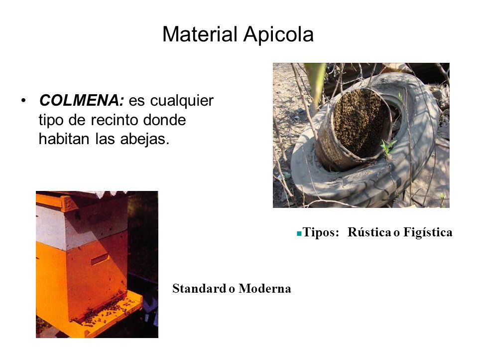 Material Apicola COLMENA: es cualquier tipo de recinto donde habitan las abejas. Tipos: Rústica o Figística.