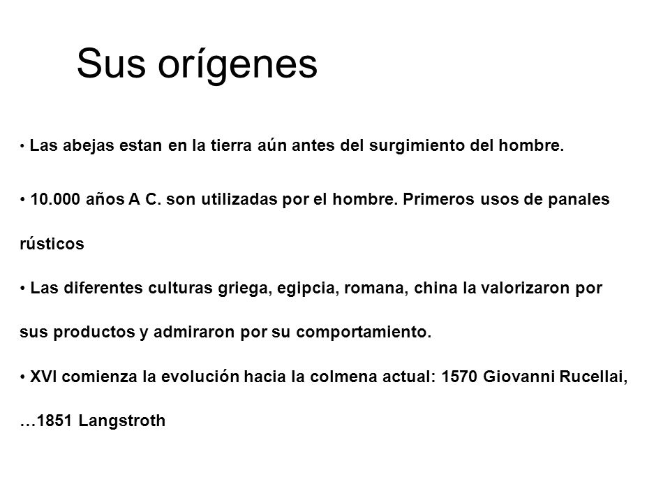 Sus orígenes Las abejas estan en la tierra aún antes del surgimiento del hombre.