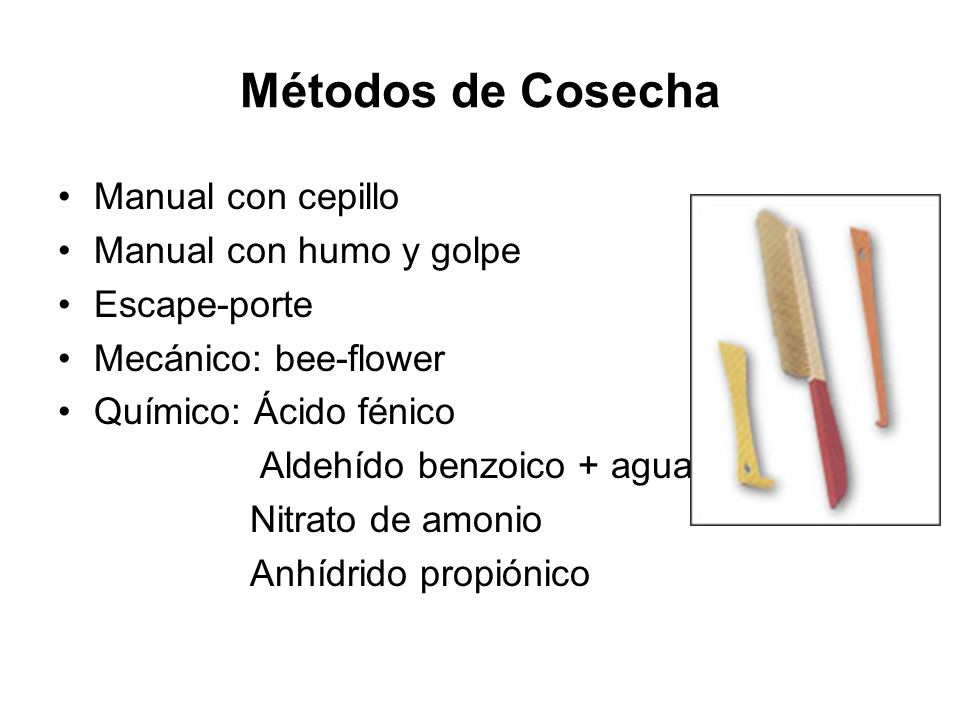 Métodos de Cosecha Manual con cepillo Manual con humo y golpe