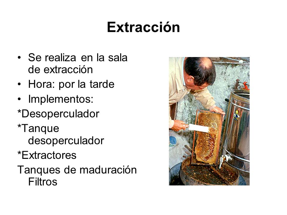 Extracción Se realiza en la sala de extracción Hora: por la tarde